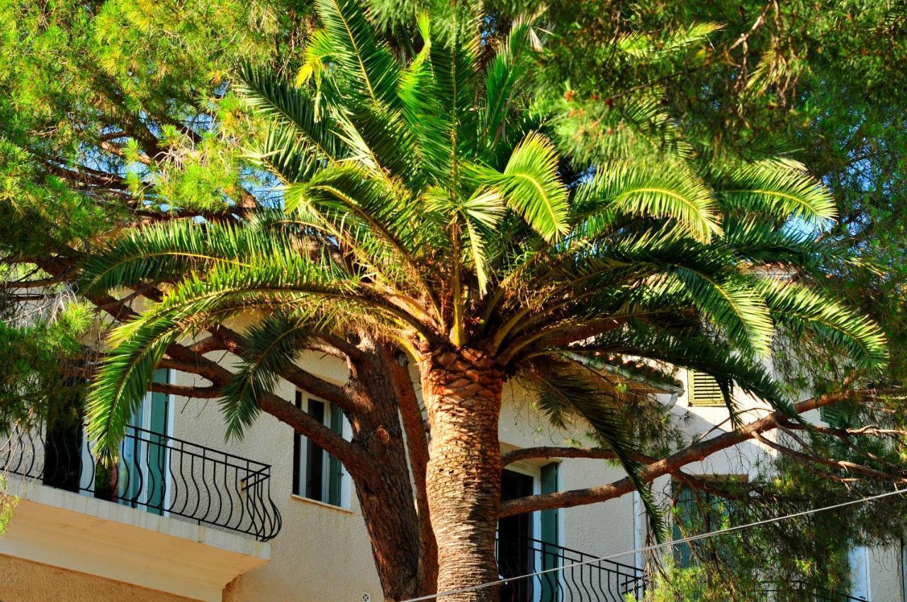 Hôtel VTF Clairefont à Bandol Extérieur photo